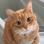 ぢゅん