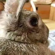 ミィ˚✧*°•8/7プロフ更新