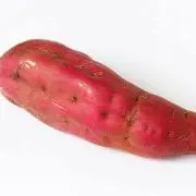 おいもの画像