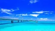 真田一八の画像
