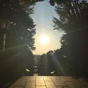 SUの画像