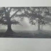 ヒーロの画像