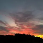 アシュ