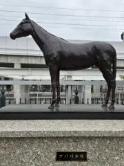 アパパネ