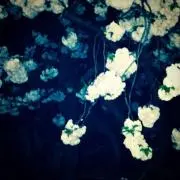 ながぐつ