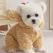 joo【プロフィール確認お願いします！】の画像