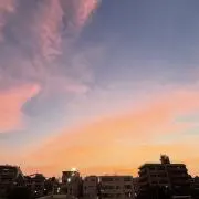 ぴょんきち