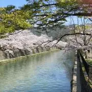 まっちゃんの画像