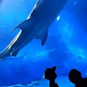 けんちの画像