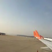 りんの画像