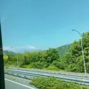 みもみの画像