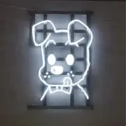 うじゅまるの画像