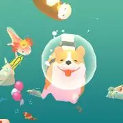 冷凍みかん