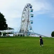 パインちゃんの画像