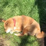 みなぽんの画像