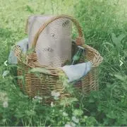 maruの画像