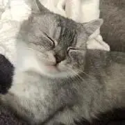 ゆい