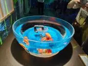 よしなみの画像