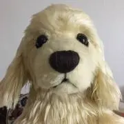 つっきぃーの画像