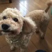 しーぶっくあのの画像