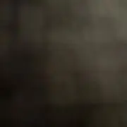 田巻隆盛