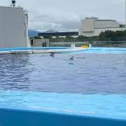 t0112yの画像