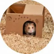 TAKEの画像