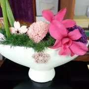 れもんの画像