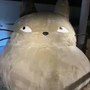 Nanaの画像