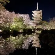 leafdogの画像