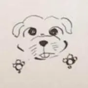 ボンボン