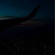 LSの画像