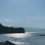 tk