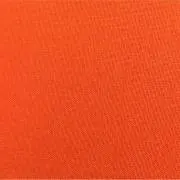 ayaの画像