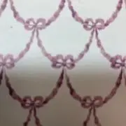 ぽんの画像