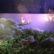 ちゃこの画像