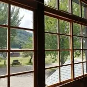 Shizukuの画像
