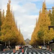 NAMIちゃんの画像