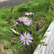 ゆーこ