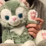 ユキノの画像
