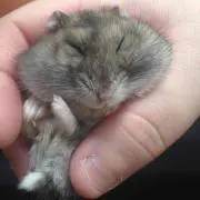 ゆーきーなー。
