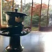 とらの画像