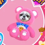 うさぎ