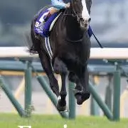 イクイノックス88