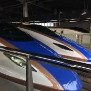 ソルティの画像