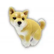 まぁの画像