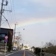 Chicodesの画像