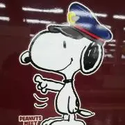 ドミグラ⭐(プロフ必読)