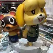 Noriの画像