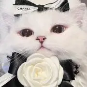 まやここの画像